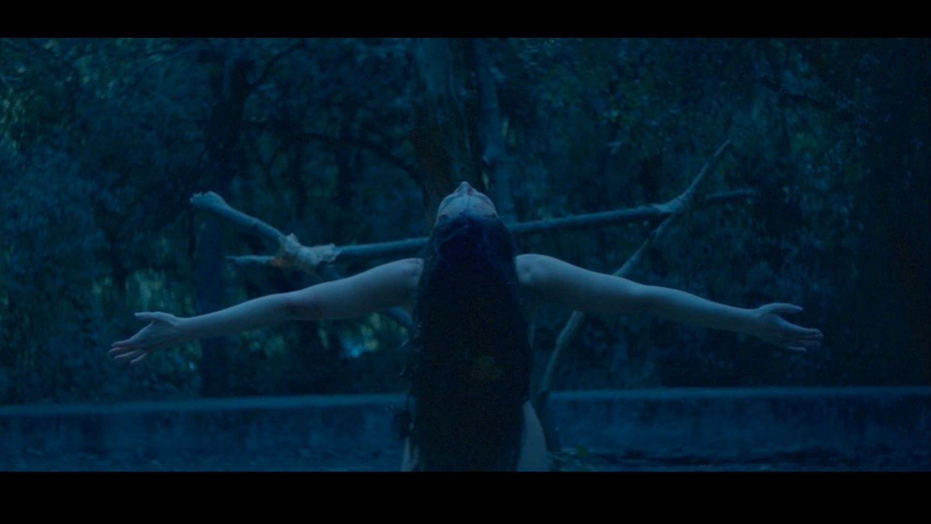 Backdrop for Génesis