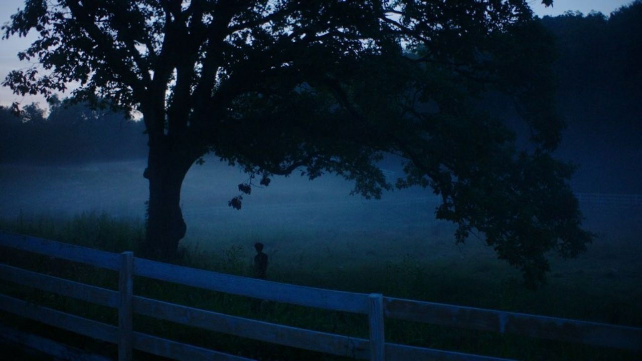 Backdrop for Apophenia