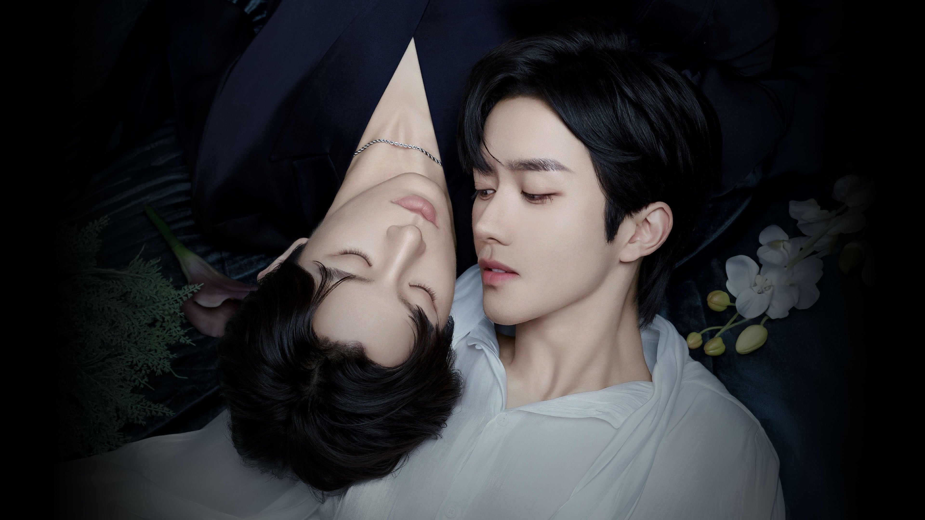 Backdrop for ABO Desire