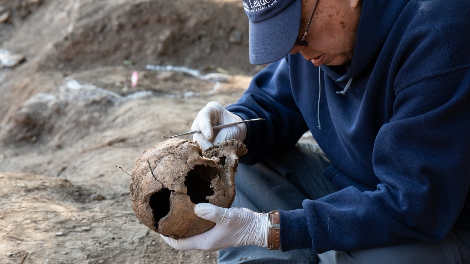 Backdrop for 206: Unearthed