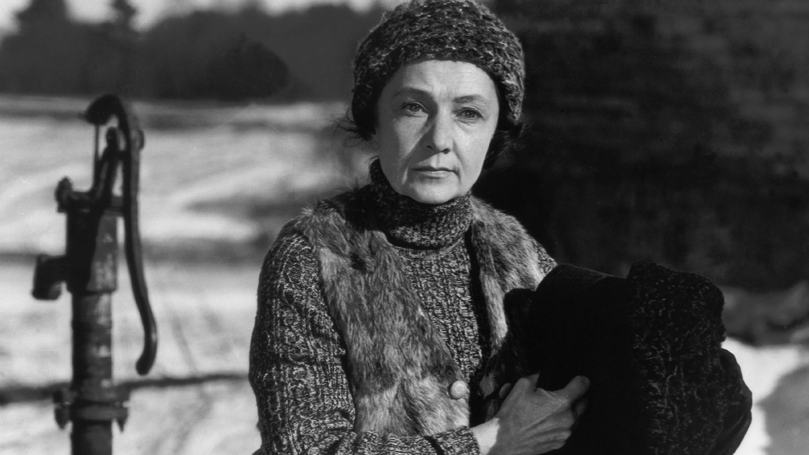Backdrop for A Woman Heats the Sauna