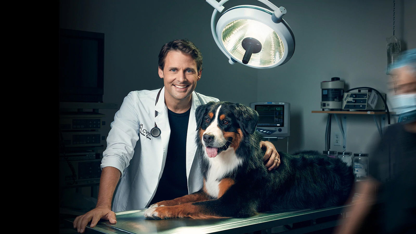 Backdrop for Dr Sébastien, vétérinaire