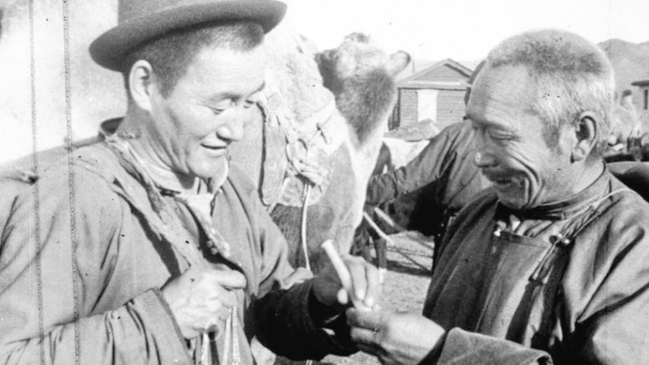 Backdrop for Son-in-law