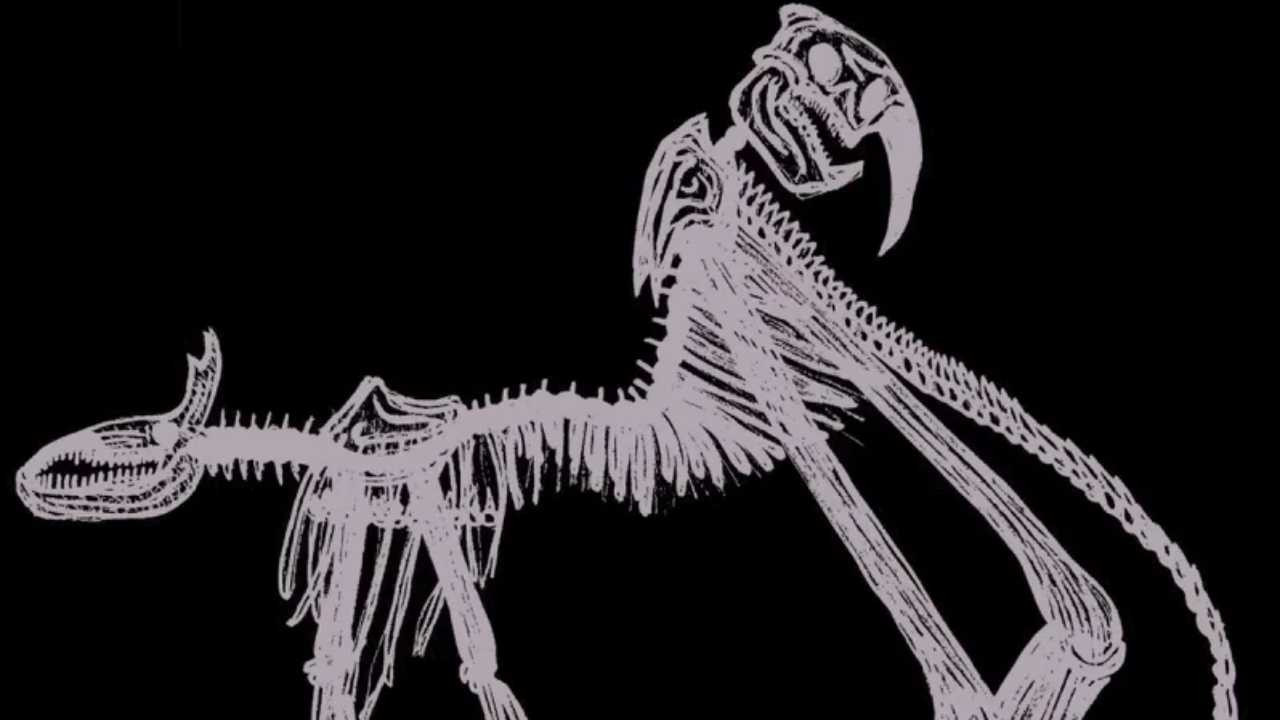 Backdrop for Alternate American Folklore