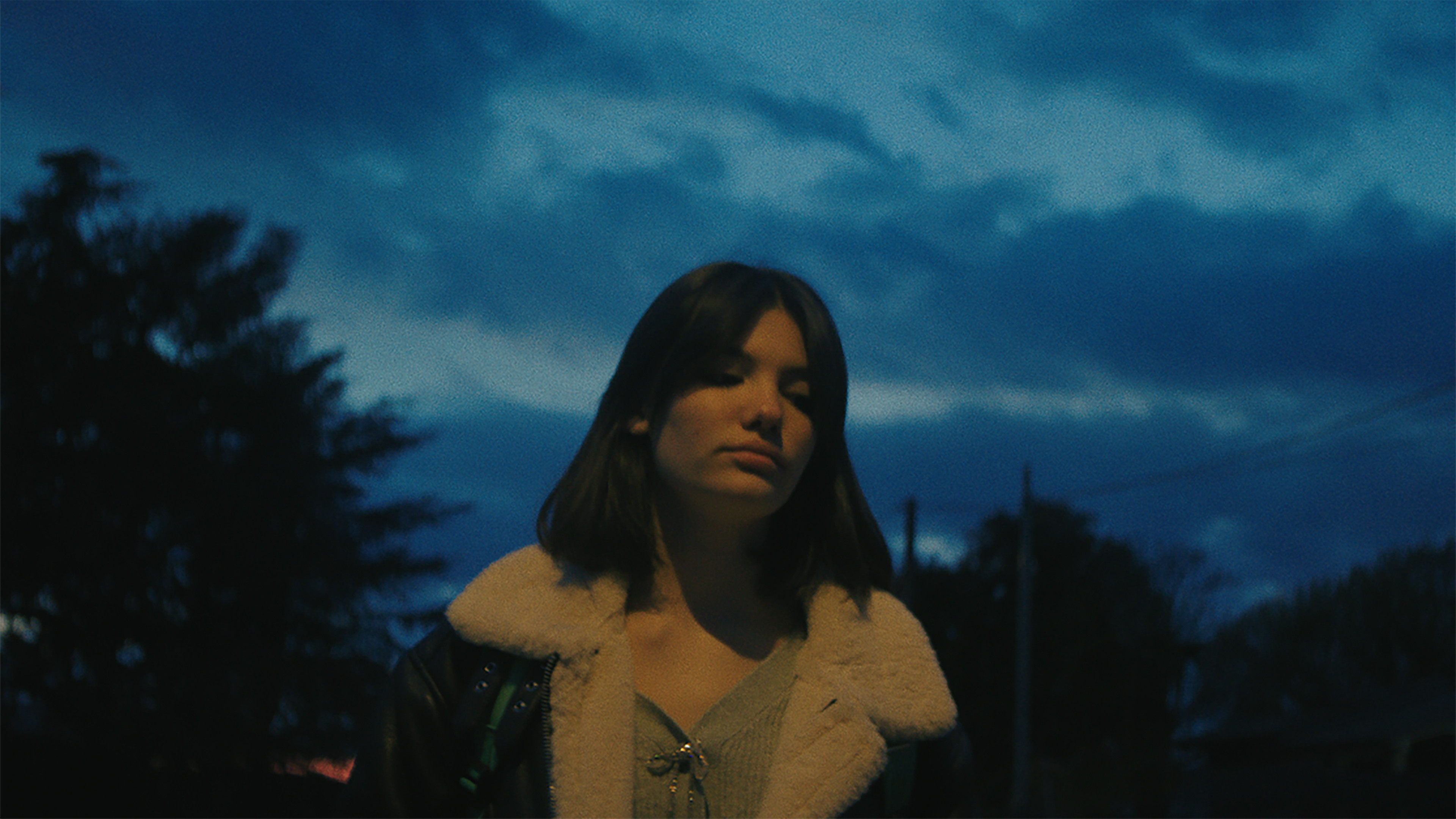 Backdrop for Little Bird