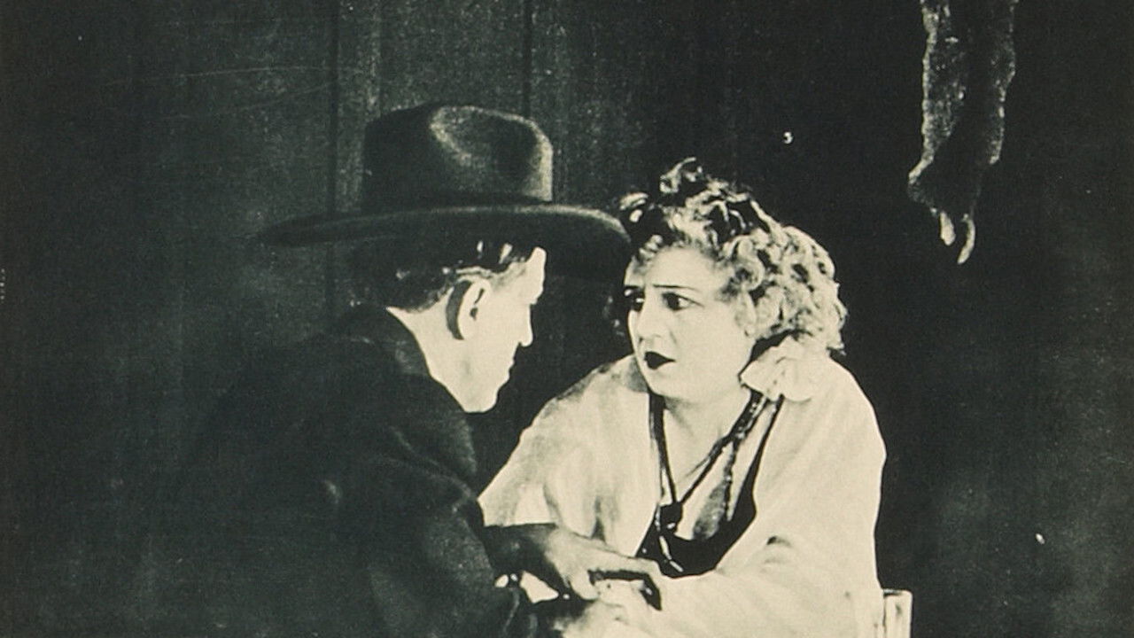 Backdrop for Roped and Tied