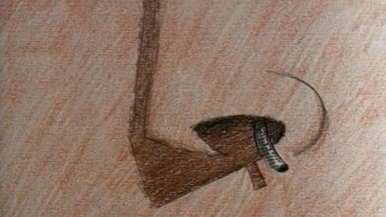 Backdrop for Nosehair