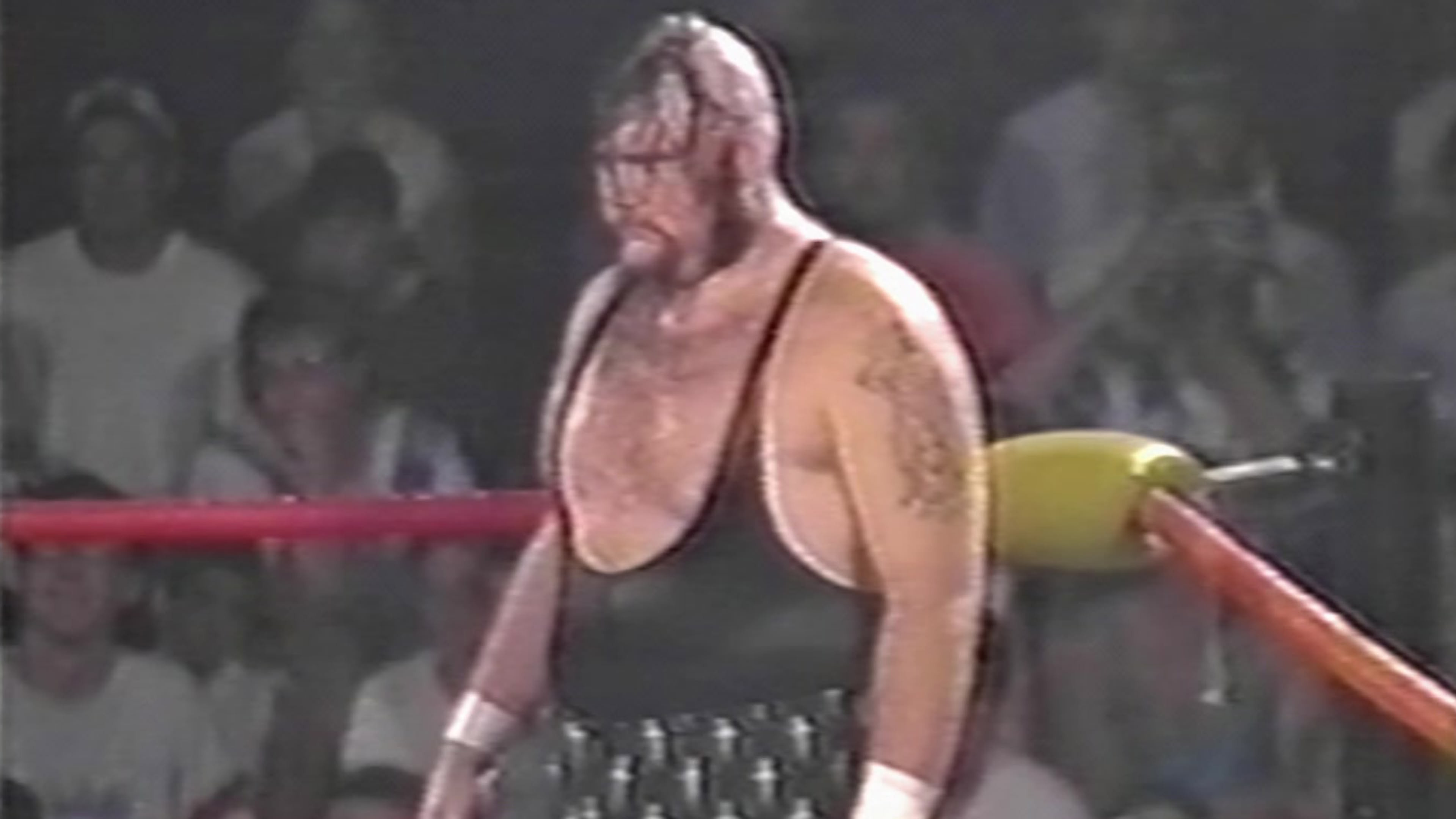 Backdrop for ECW Hardcore Heaven 1994