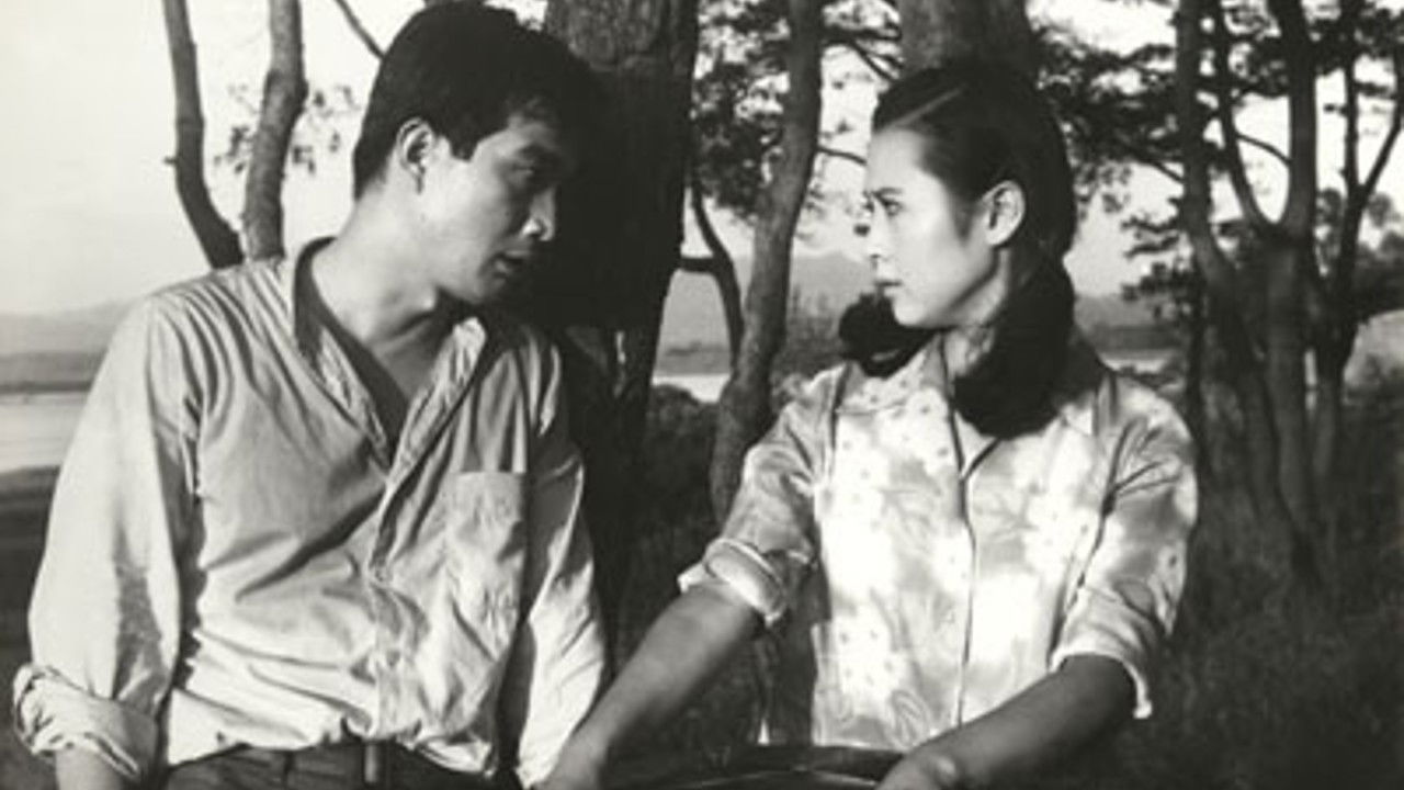 Backdrop for Sound of Magpies