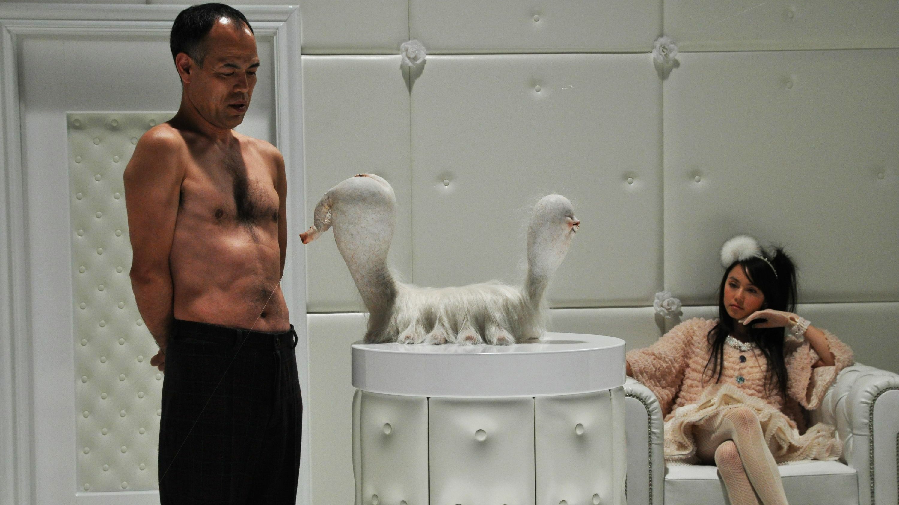 Backdrop for The Warped Forest