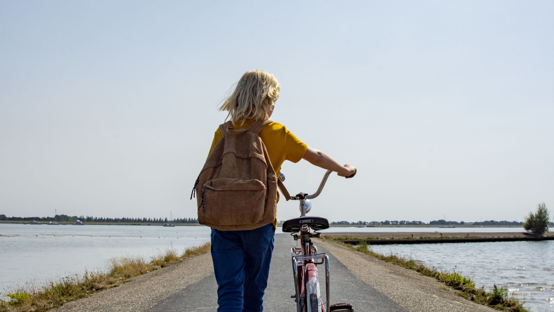 Backdrop for A Most Annoying Island