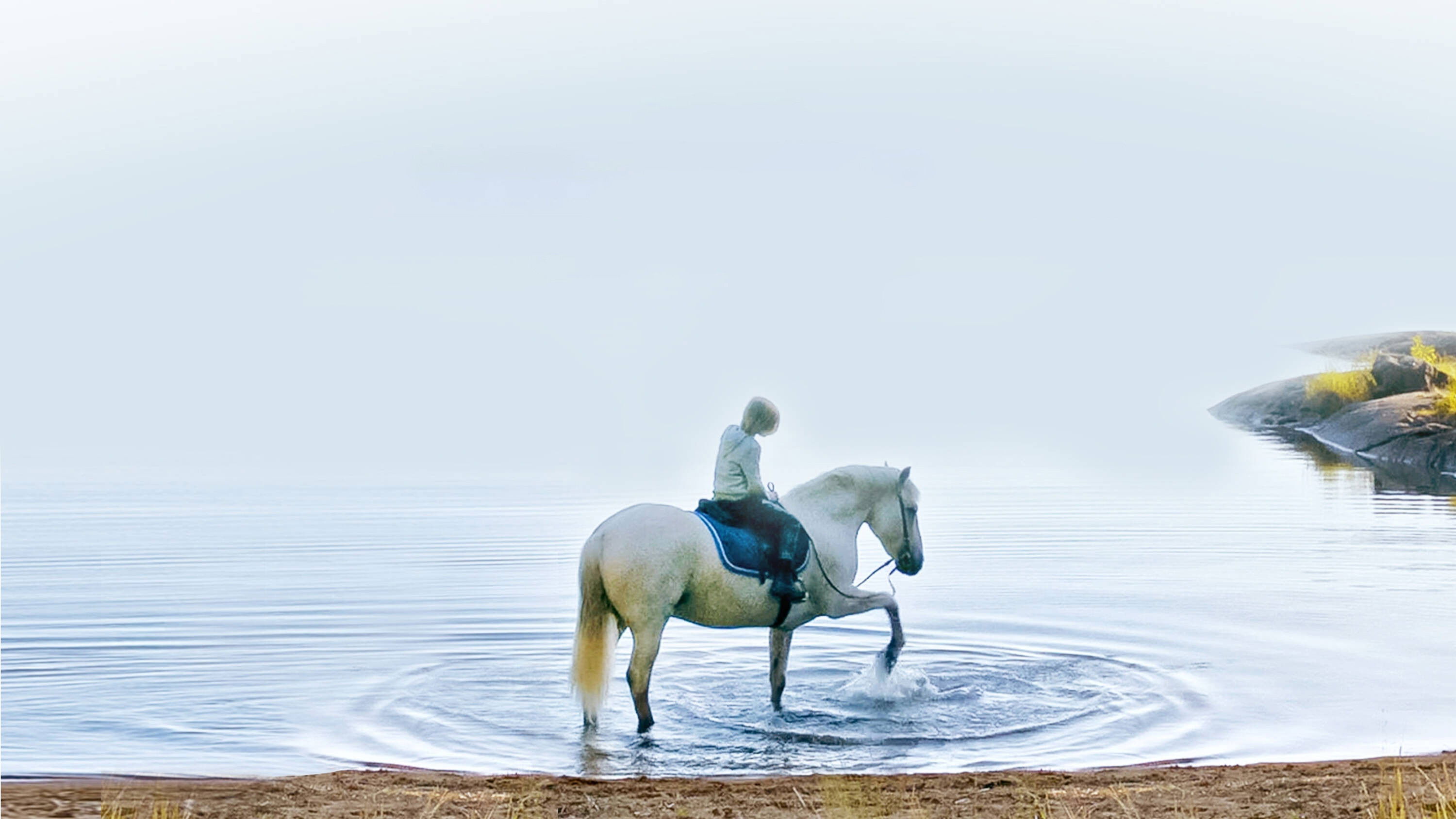 Backdrop for Before Winter Comes