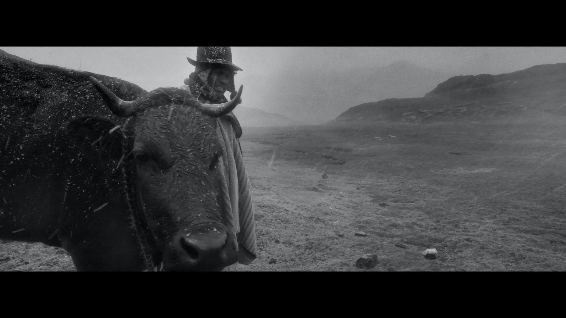 Backdrop for Samichay