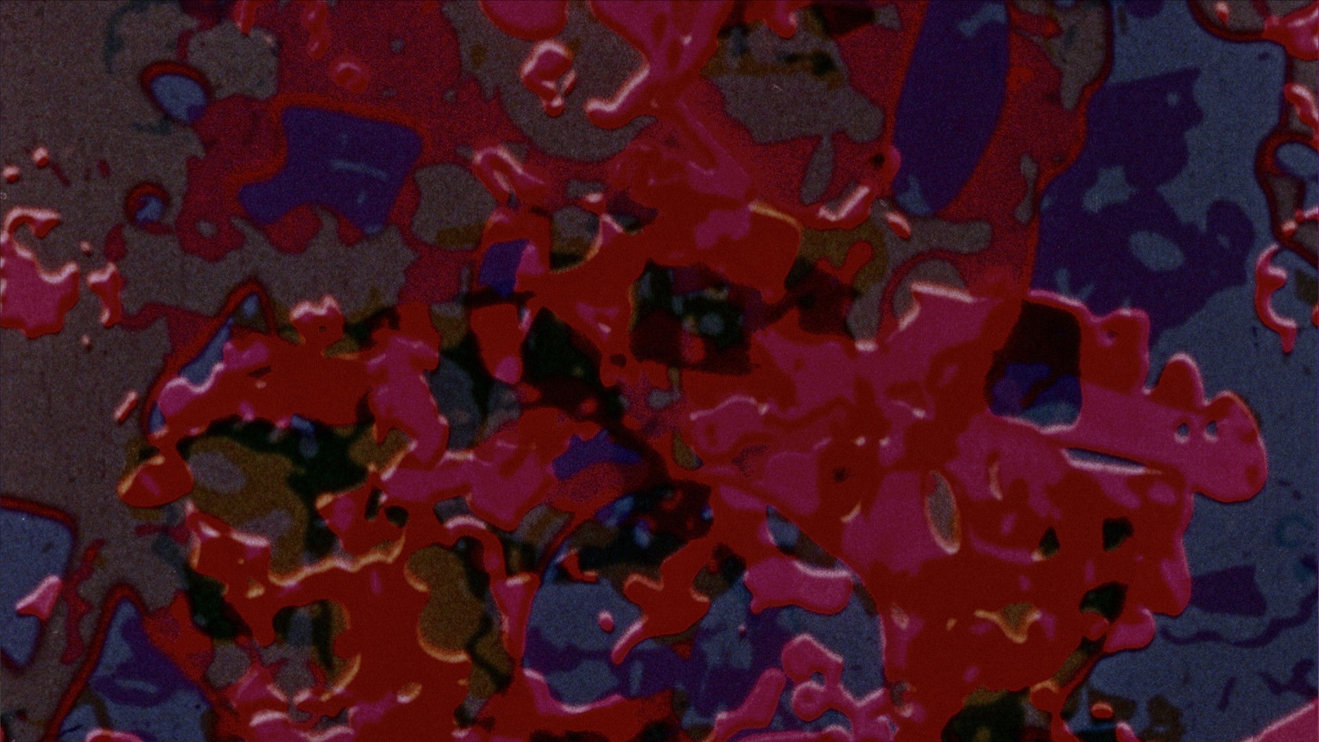 Backdrop for Easyout