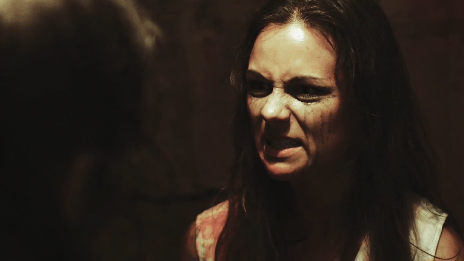 Backdrop for Animalistic