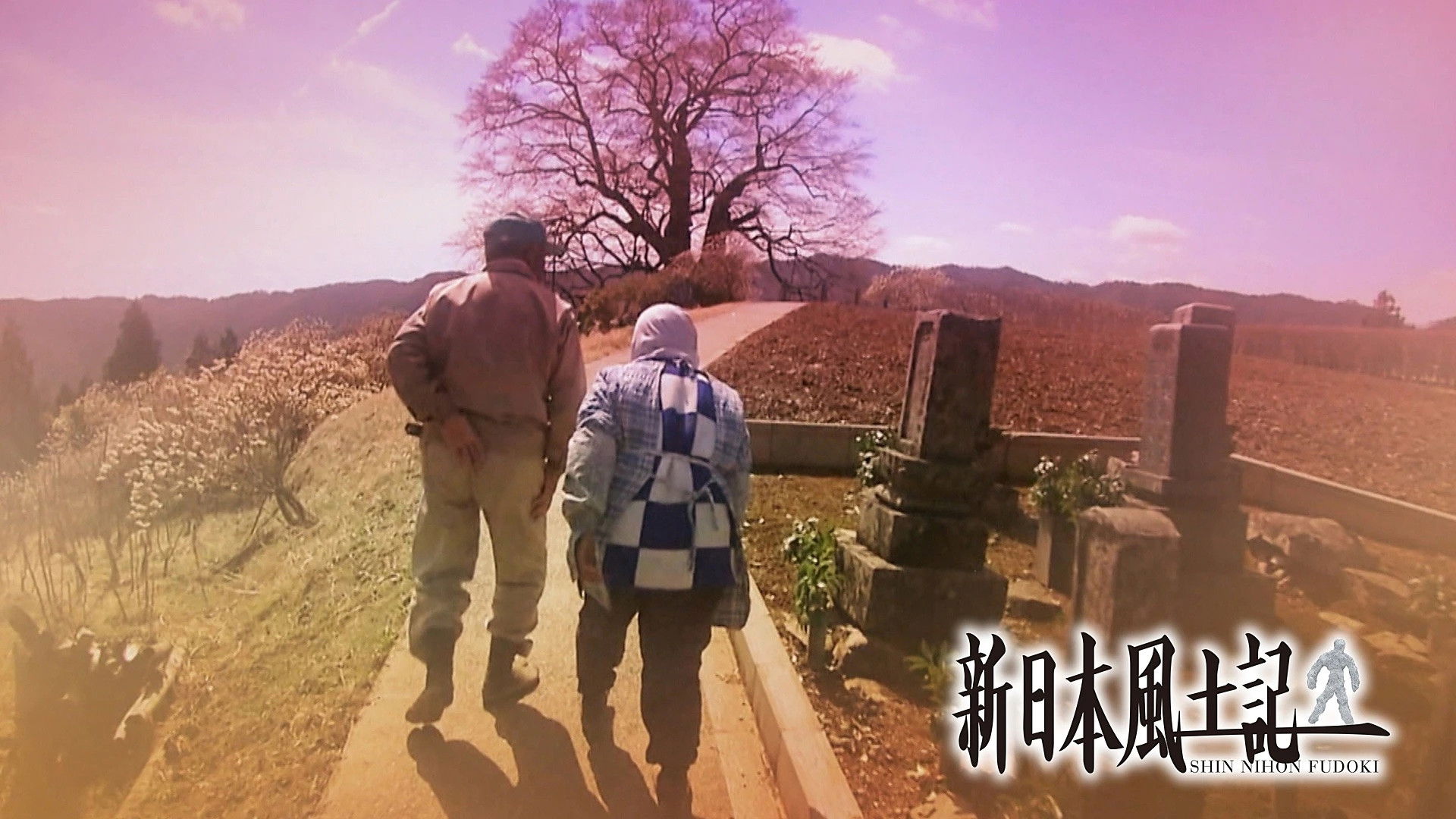 Backdrop for Shin Nihon Fudoki