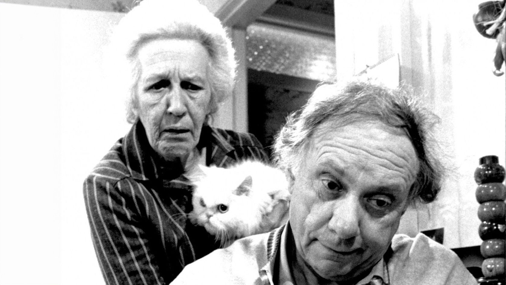 Backdrop for Gas and Candles