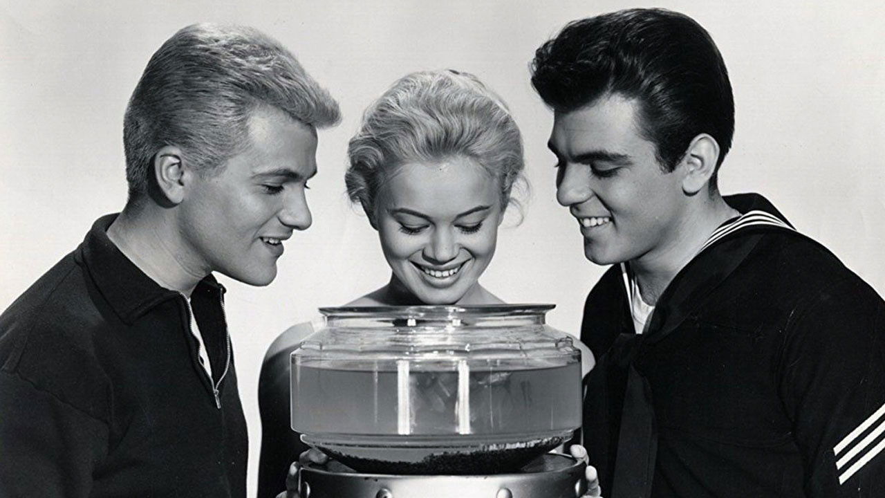 Backdrop for Love in a Goldfish Bowl