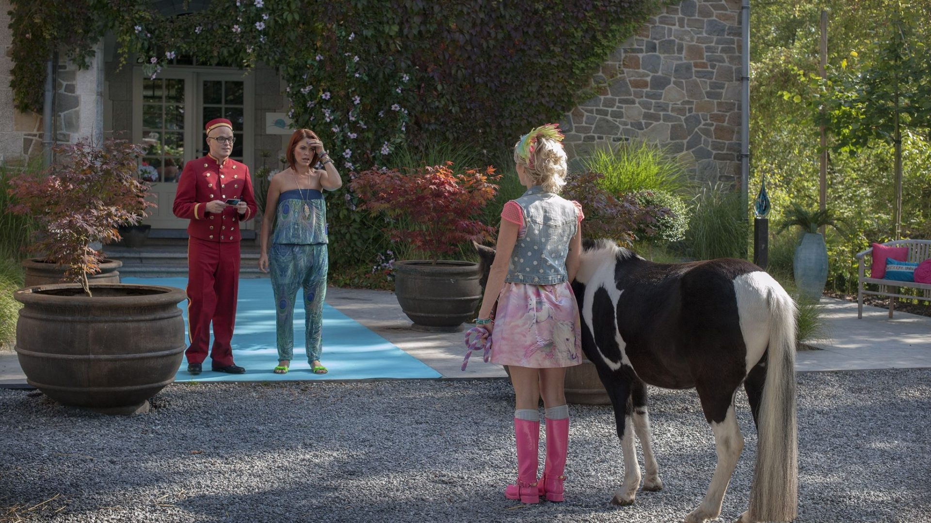 Backdrop for K3: Animal Hotel