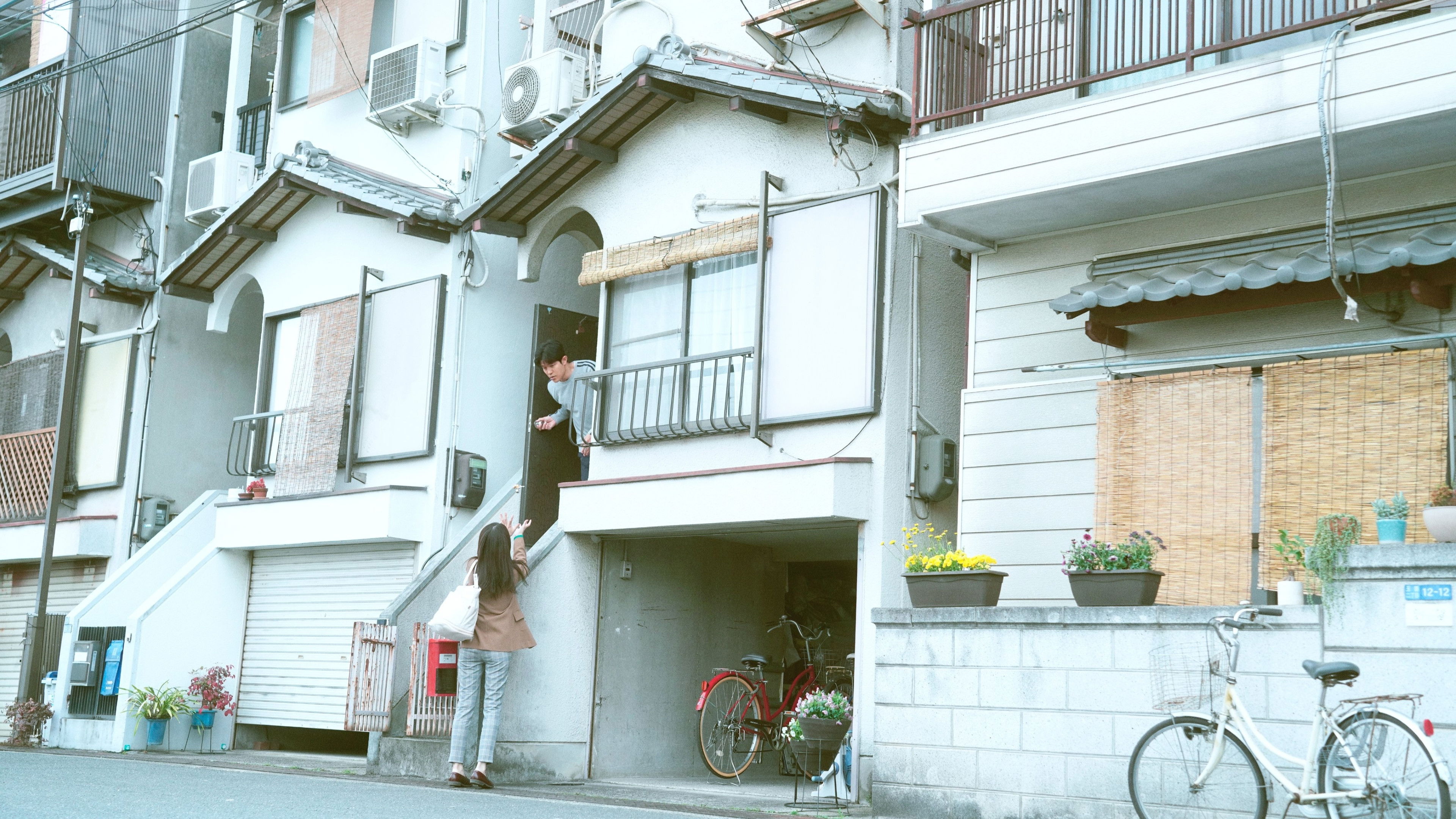 Backdrop for Petals and Memories