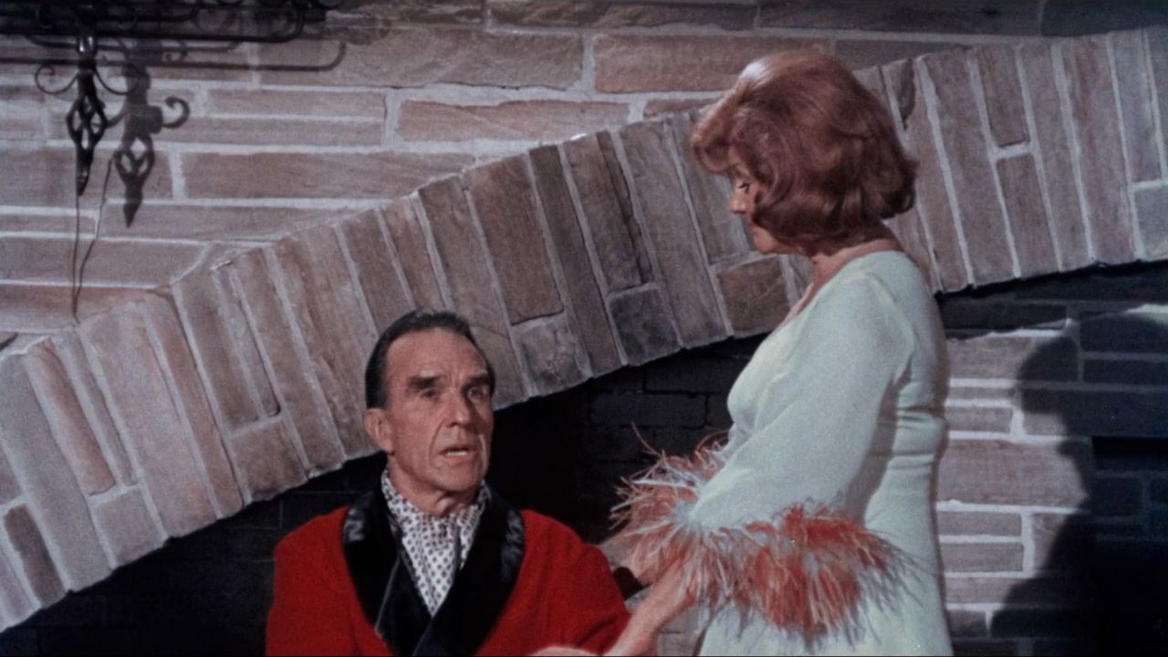 Backdrop for The Naked Zoo