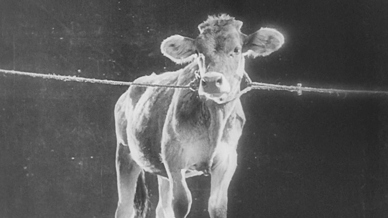 Backdrop for The General Line