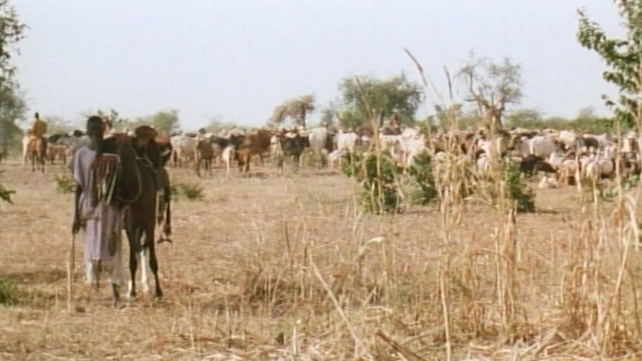 Backdrop for Anger of the Gods