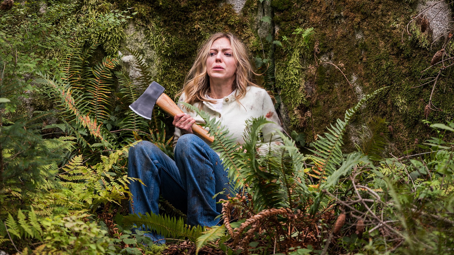 Backdrop for Sawtooth Mountain