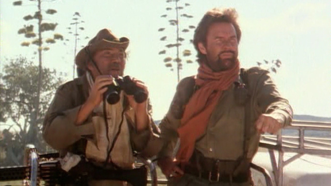 Backdrop for Code Name: Vengeance