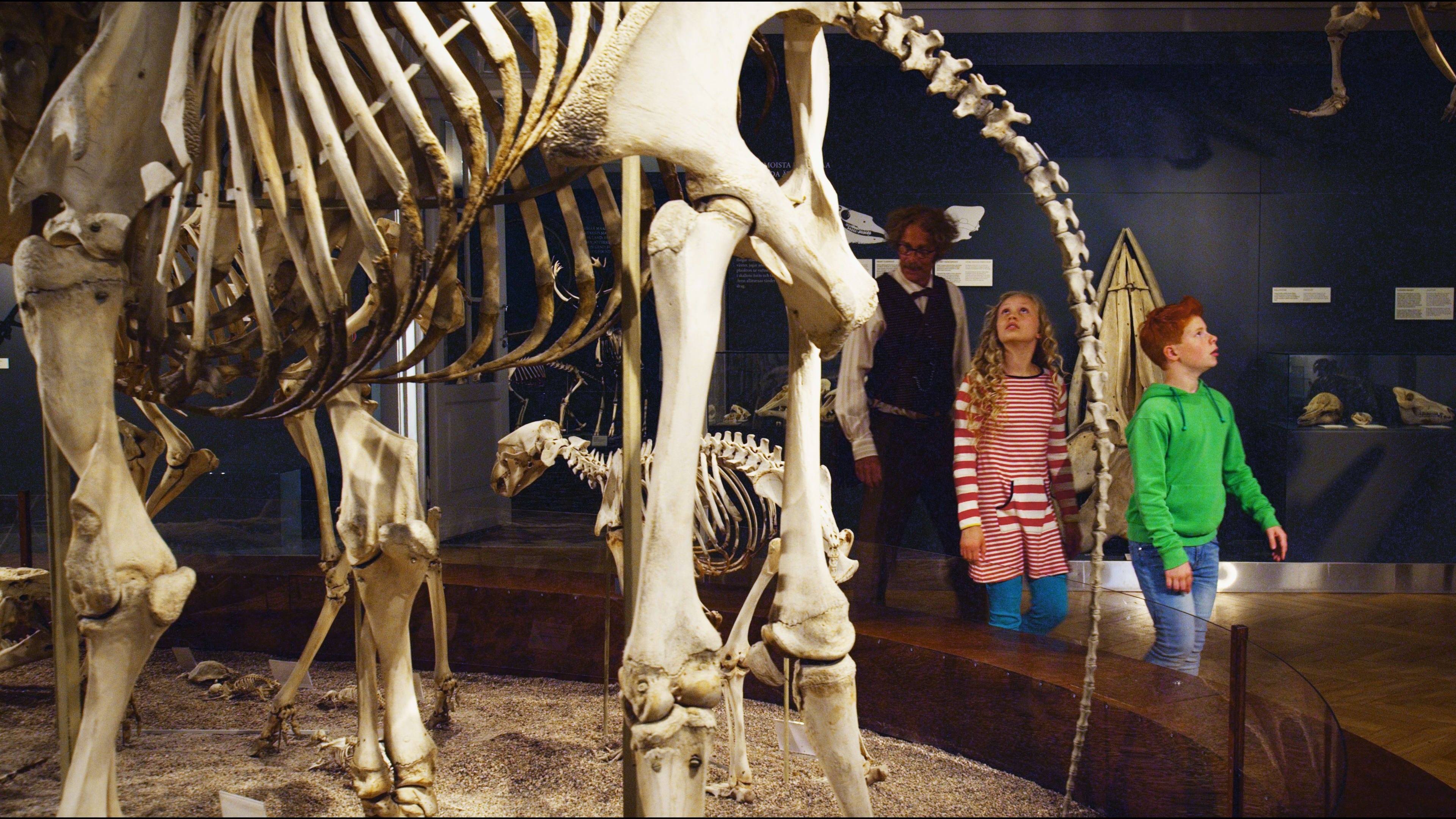 Backdrop for Ricky Rapper and the Nighthawk