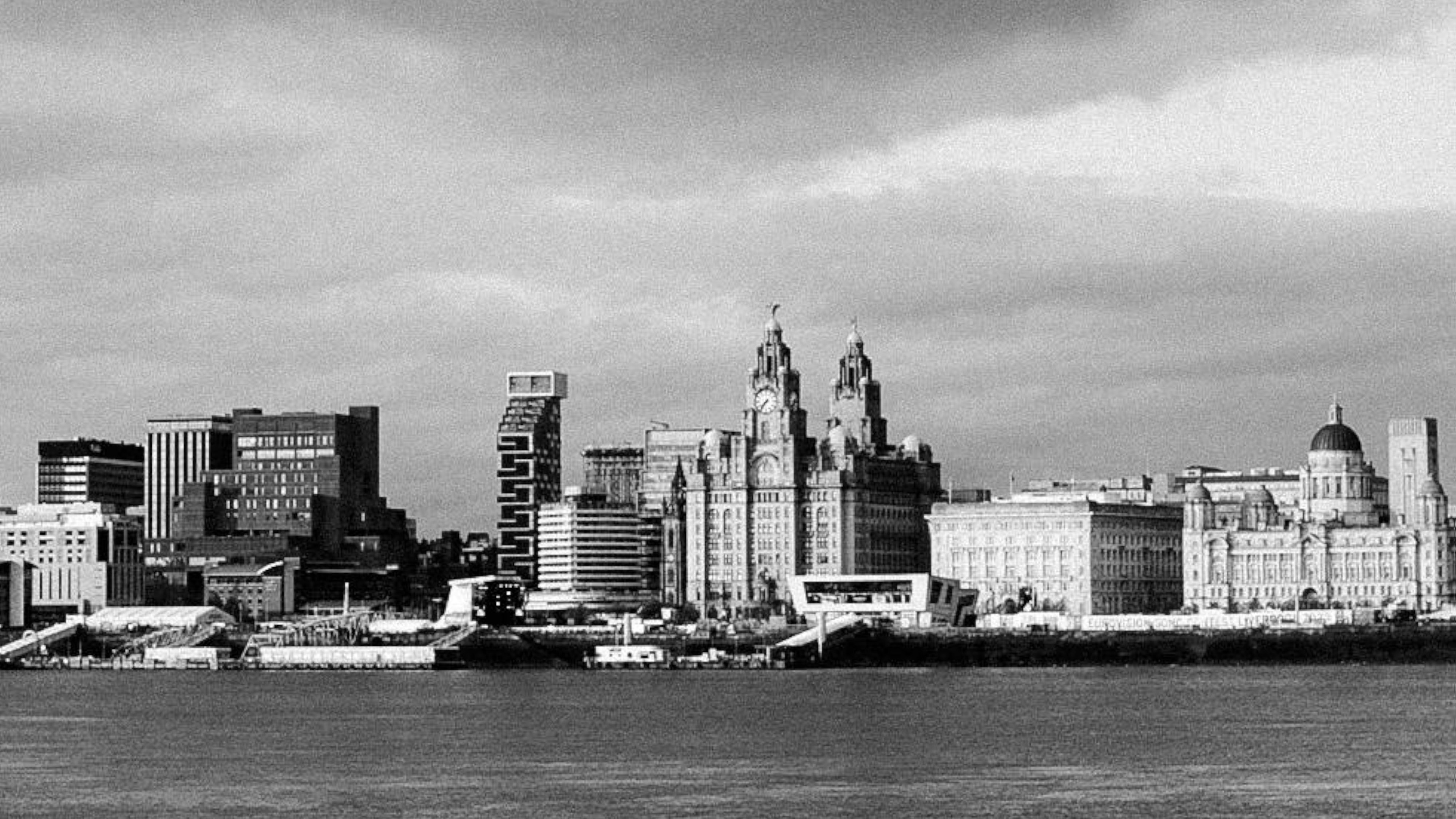 Backdrop for Rise Like A Phoenix