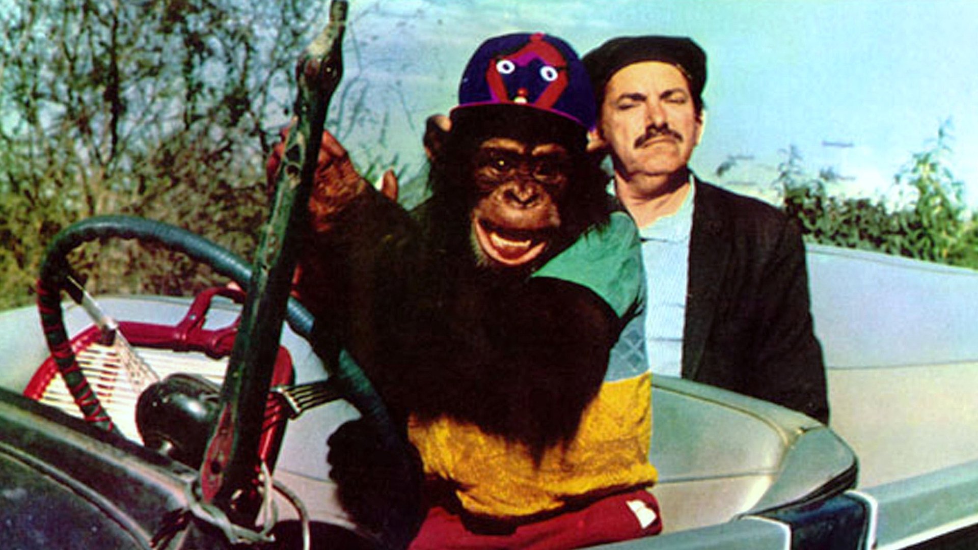 Backdrop for Betão Ronca Ferro