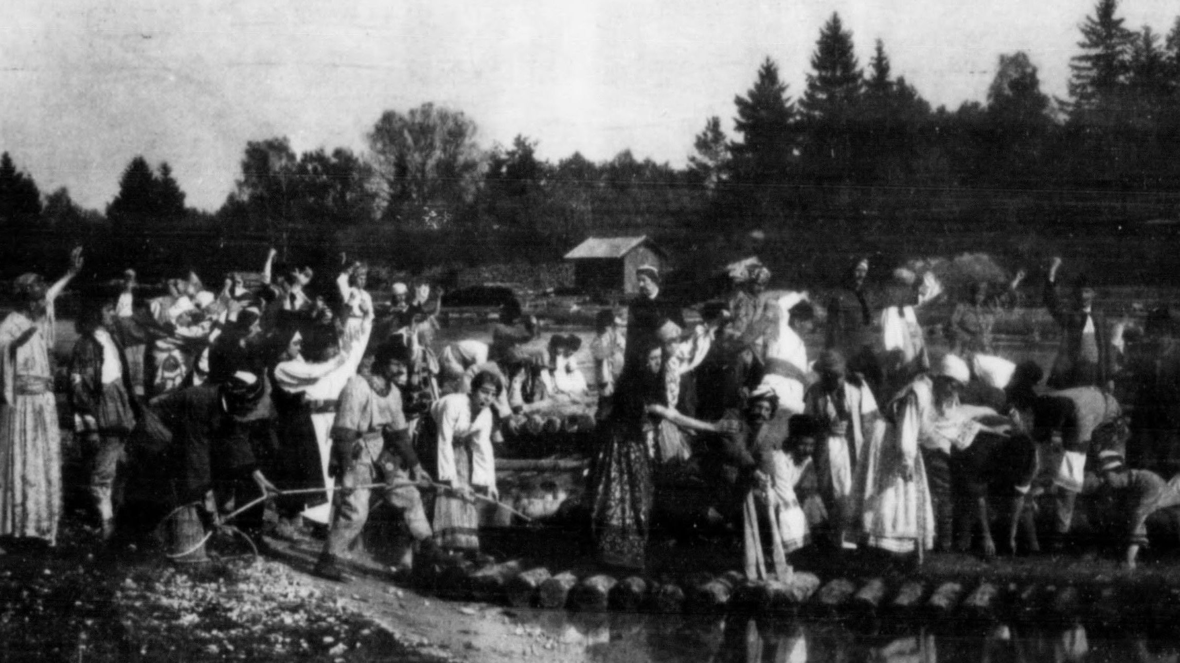 Backdrop for Siegerin Weib