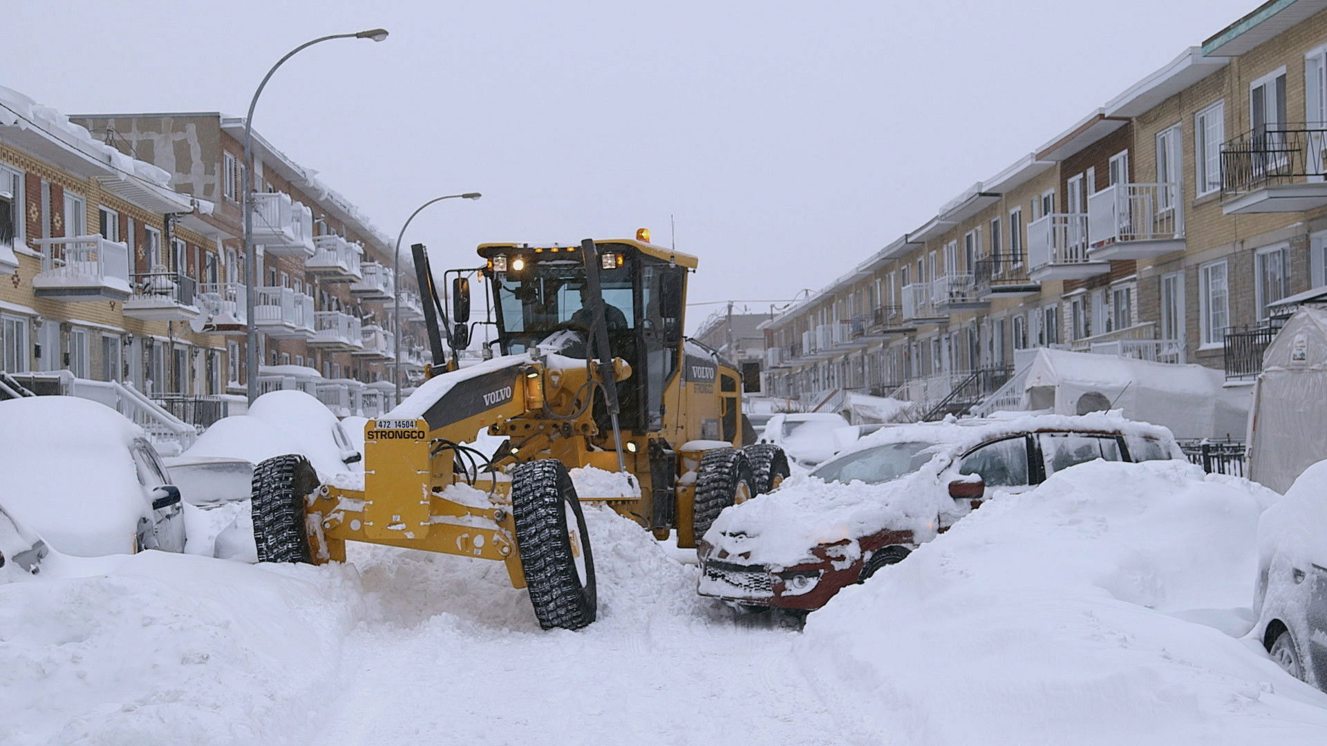 Backdrop for En pleine tempête