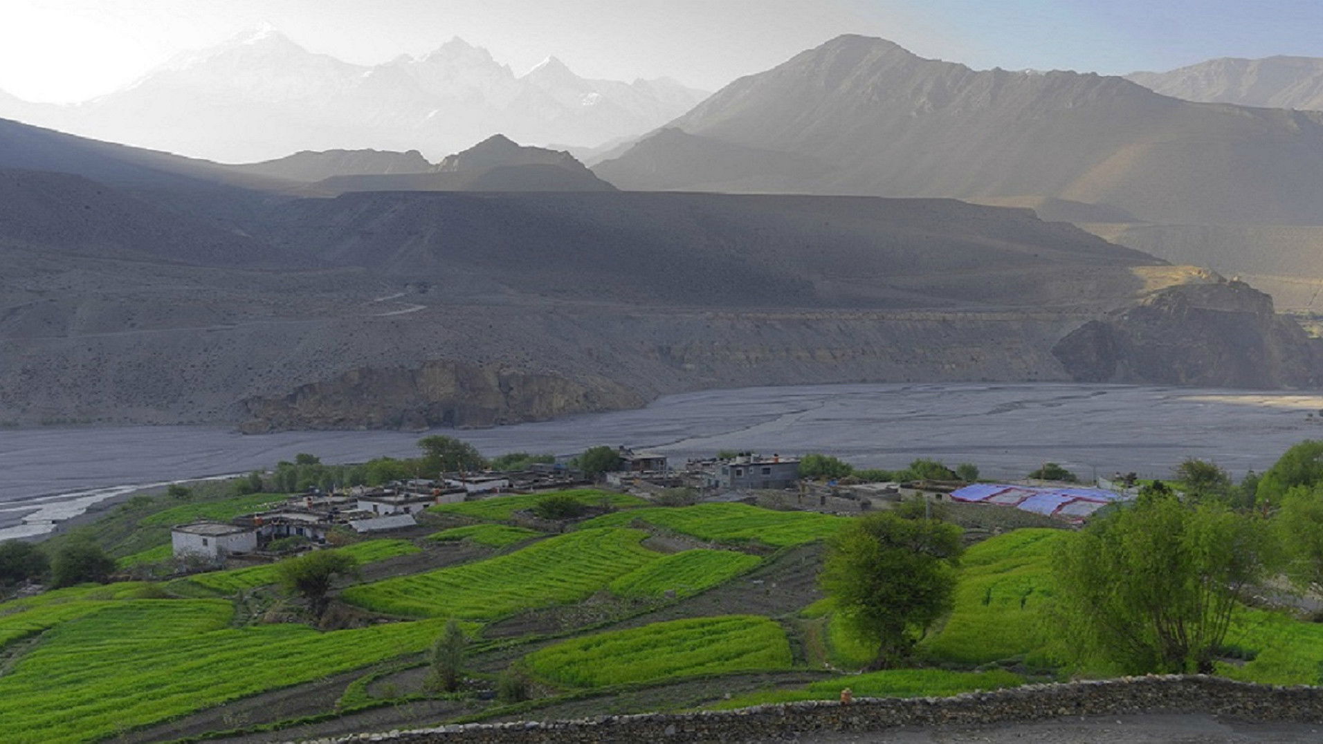 Backdrop for Blue Kangling