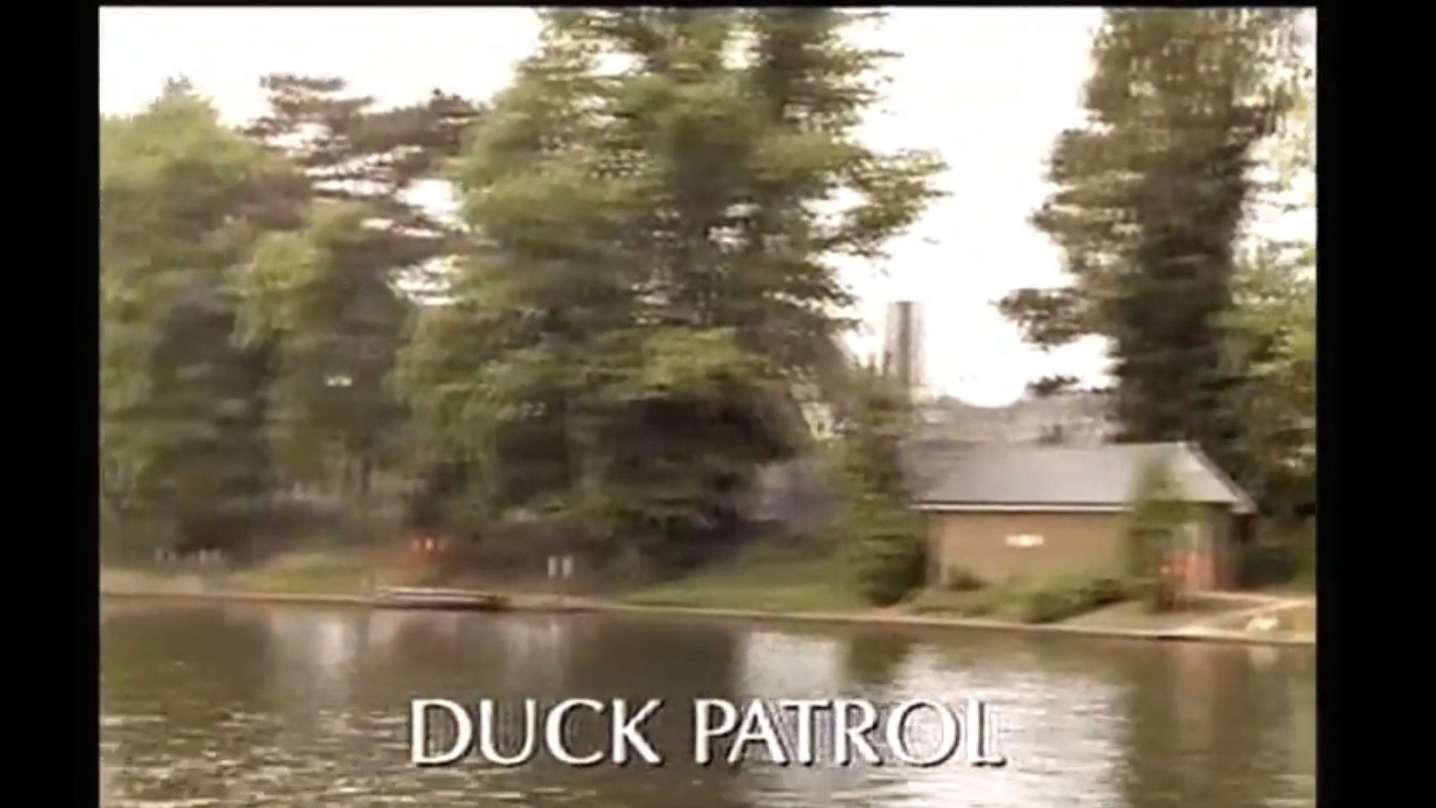 Backdrop for Duck Patrol