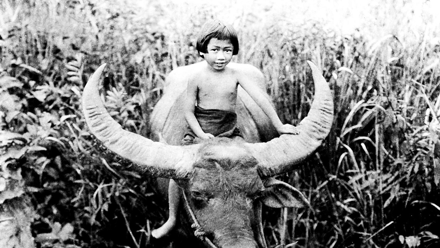 Backdrop for Chang: A Drama of the Wilderness