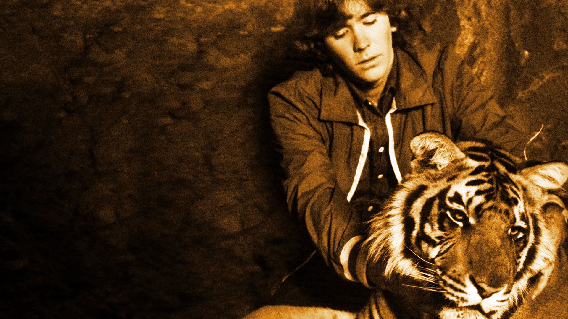 Backdrop for Sultan and the Rock Star