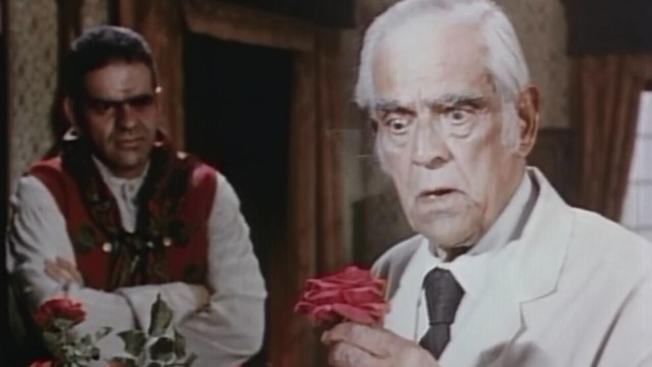 Backdrop for Alien Terror