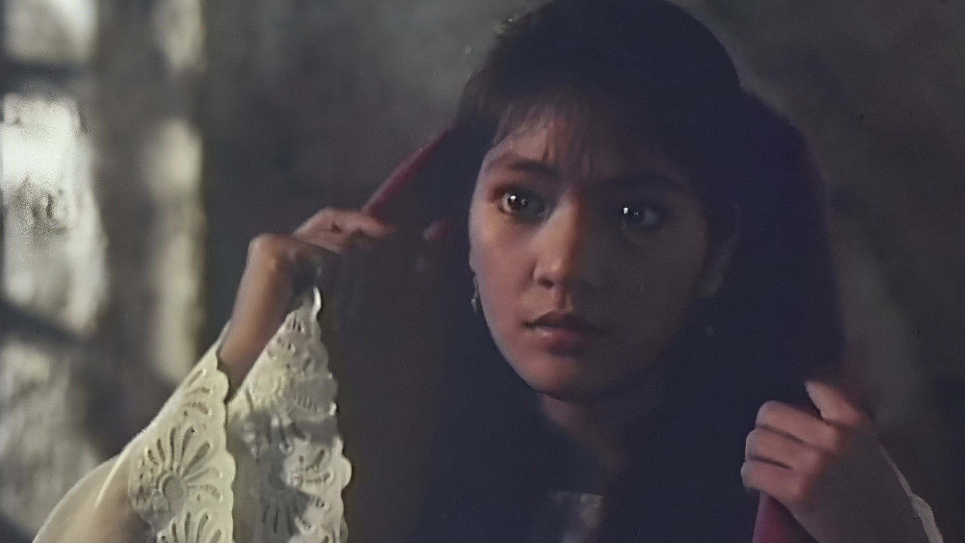 Backdrop for Virgin Forest