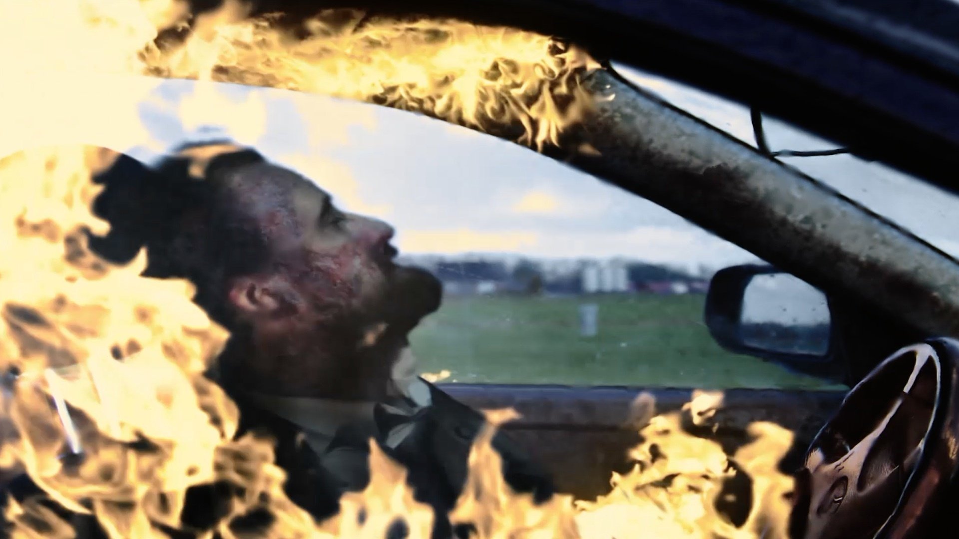 Backdrop for The Fox