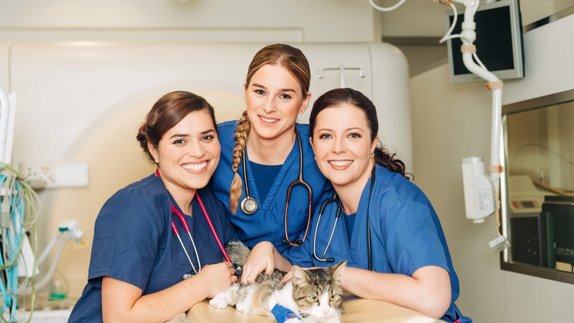 Backdrop for Tierärztin 24/7