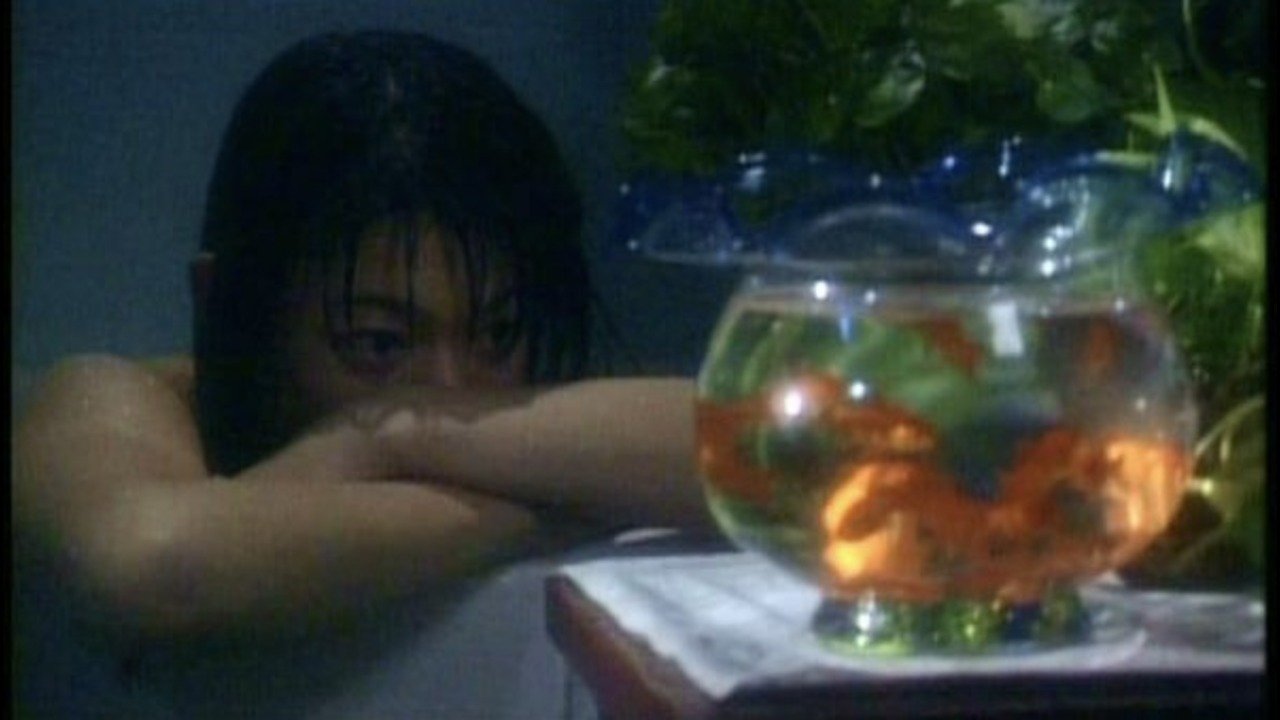 Backdrop for Zero Woman: Dangerous Game