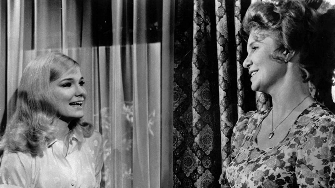 Backdrop for Toys in the Attic