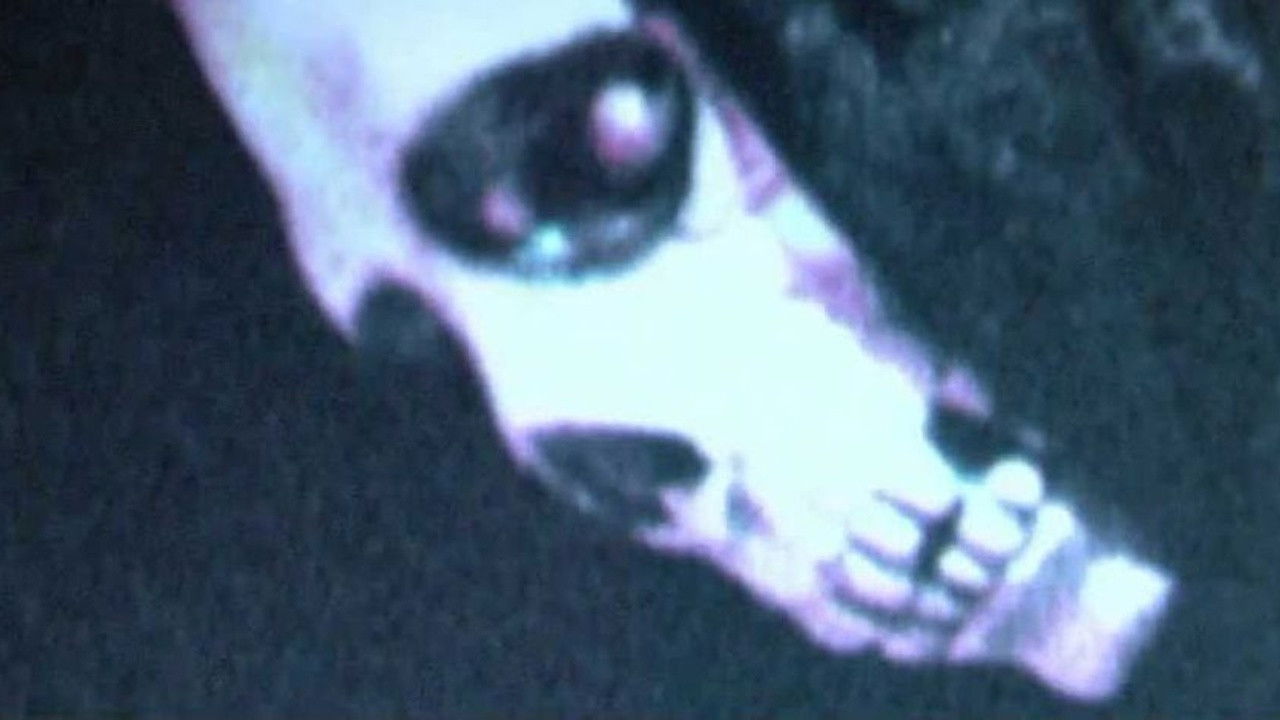 Backdrop for Mortal Remains