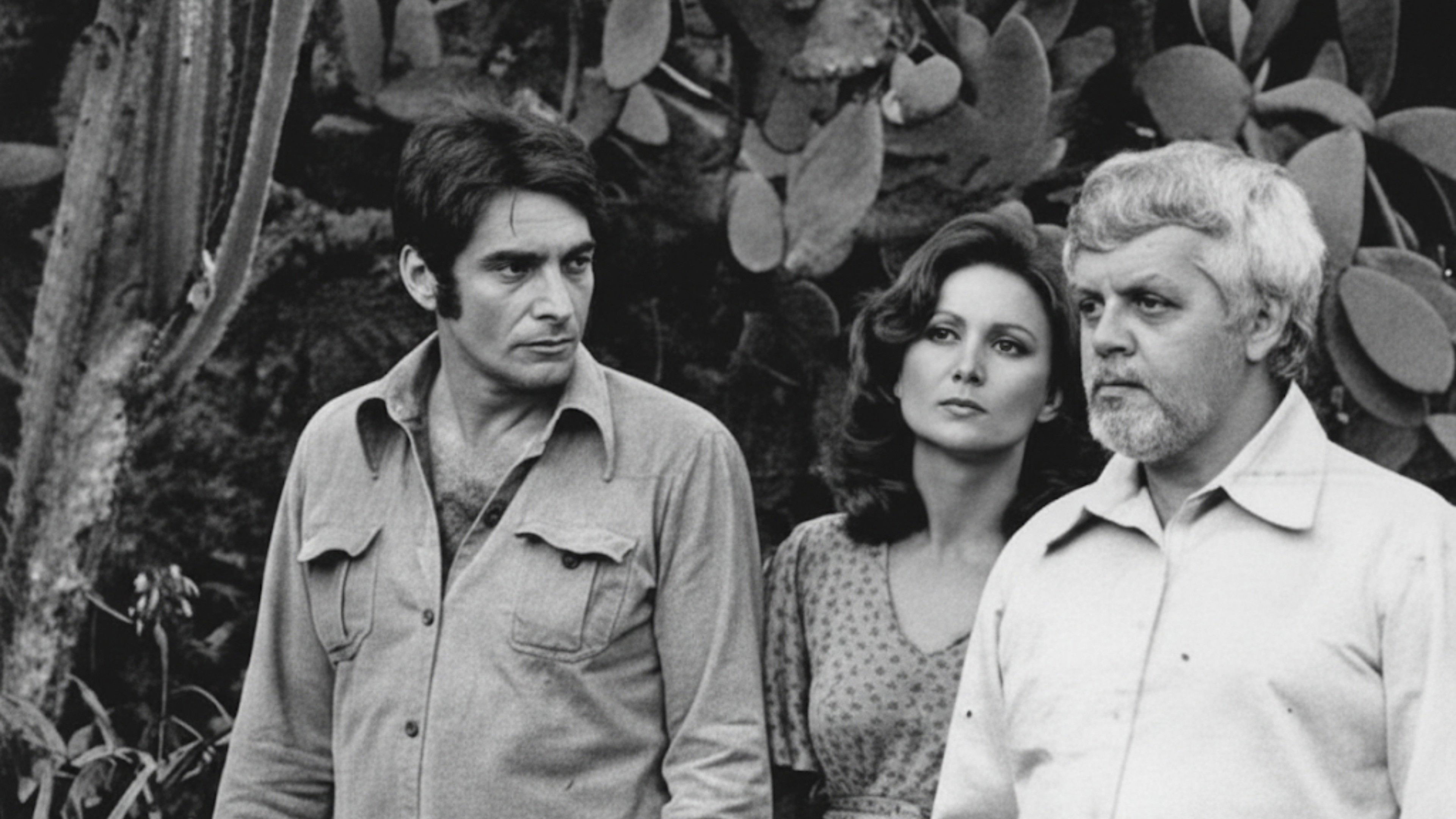 Backdrop for A Viagem