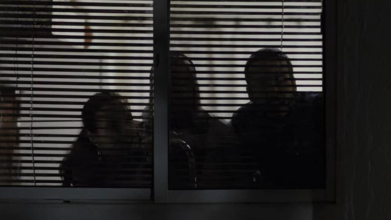 Backdrop for Any Day