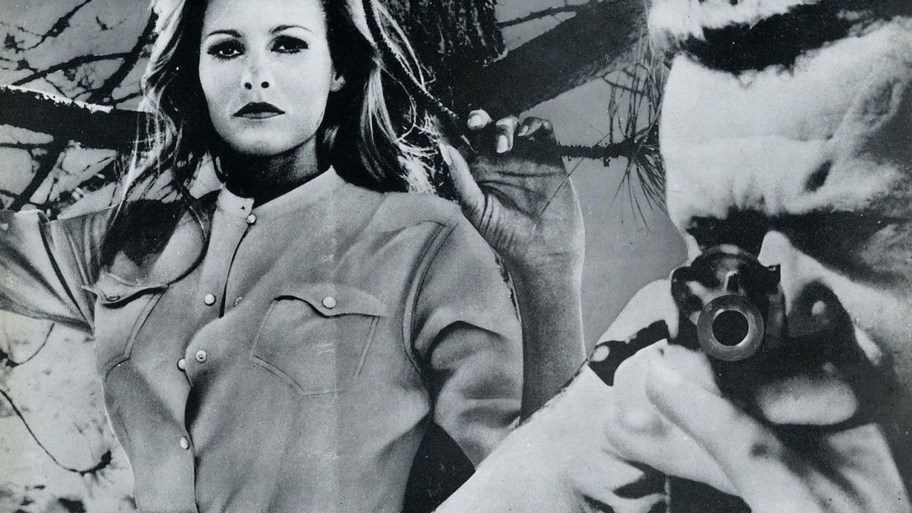 Backdrop for Nightmare in the Sun