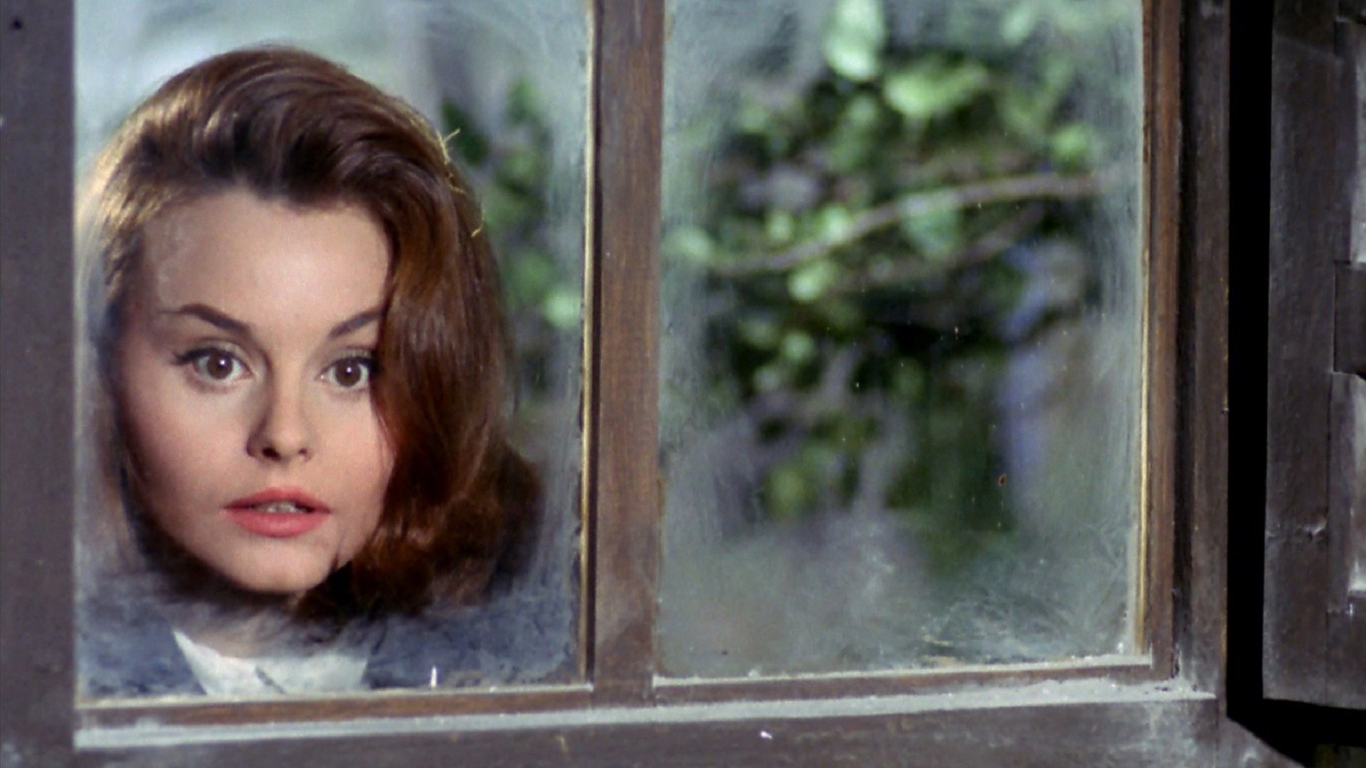 Backdrop for Tengo 17 años