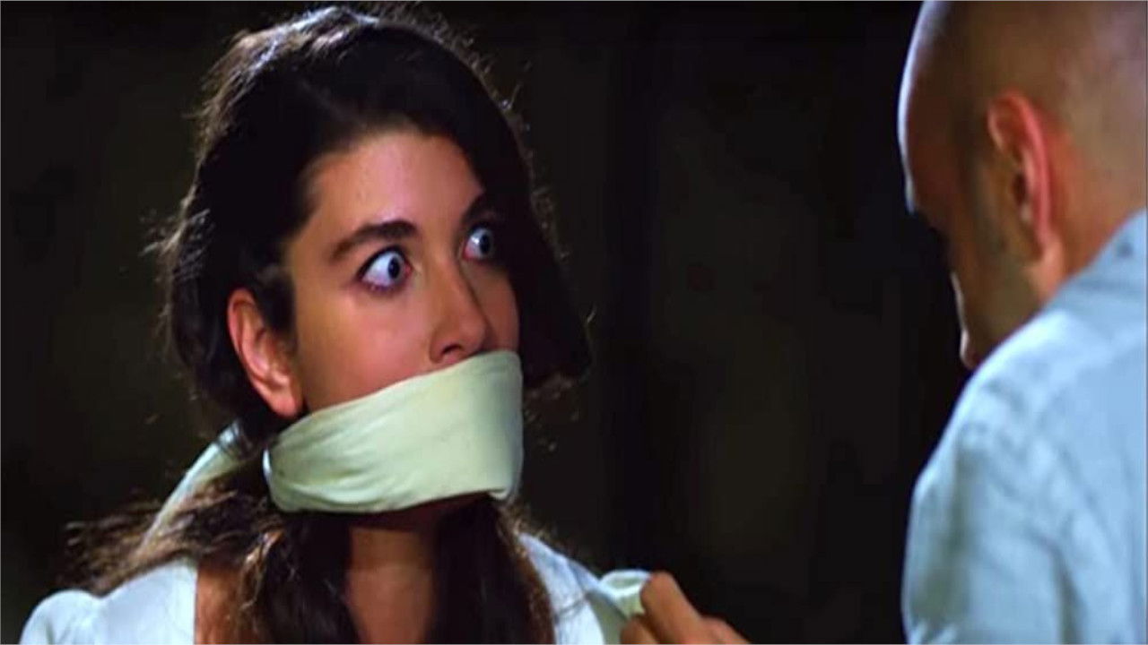 Backdrop for Sümela'nın Şifresi: Temel